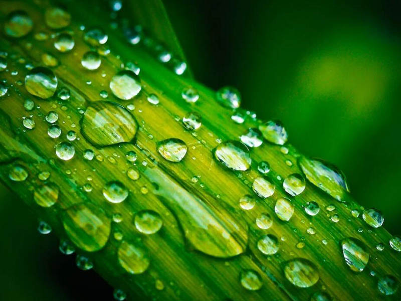 COD是什么污染物