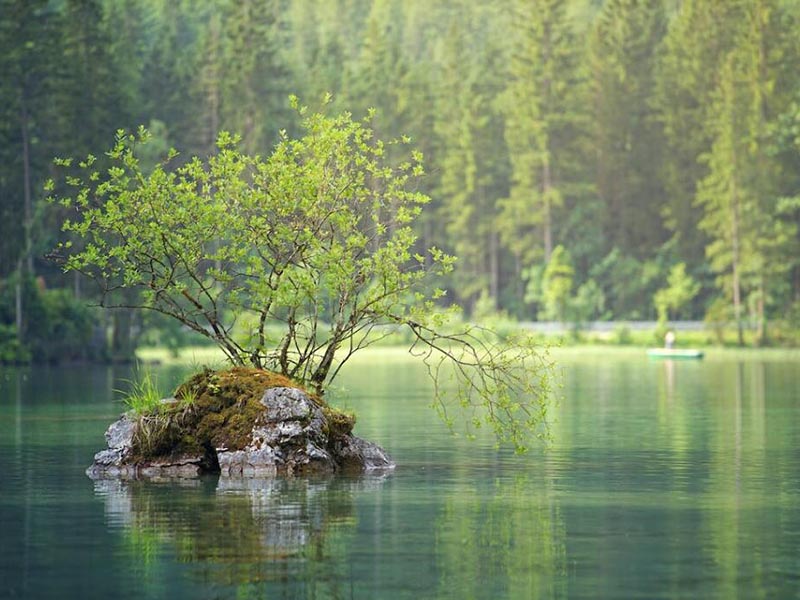 水中葉綠素在線監(jiān)測(cè)儀原理（水中葉綠素在線監(jiān)測(cè)儀特點(diǎn)）