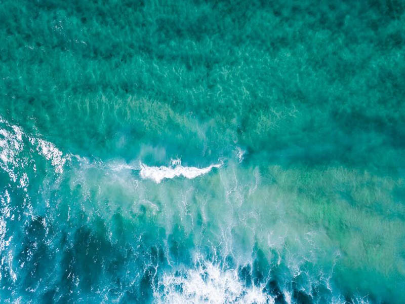 便攜式紫外測(cè)油儀工作原理