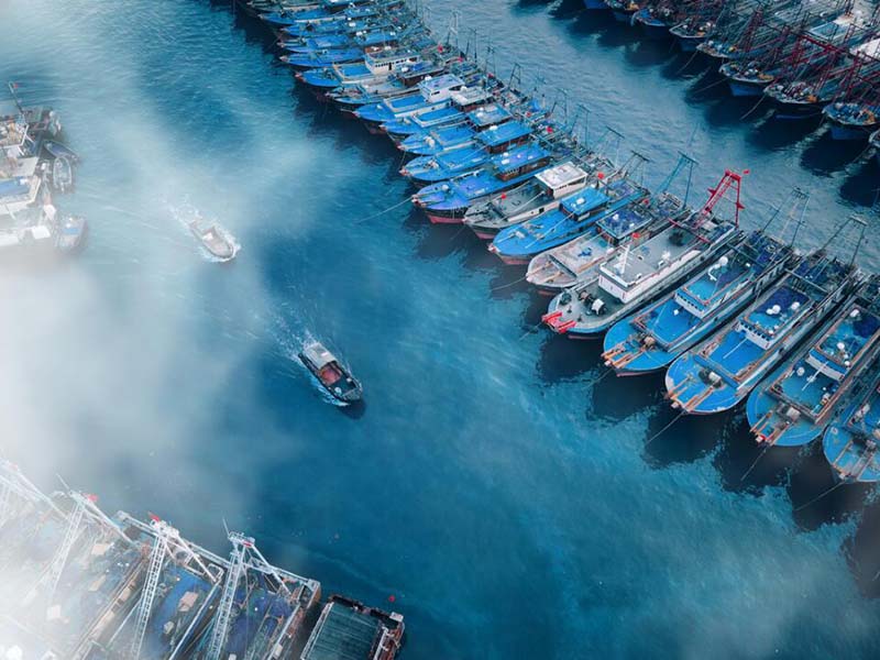 池塘氨氮來源及危害