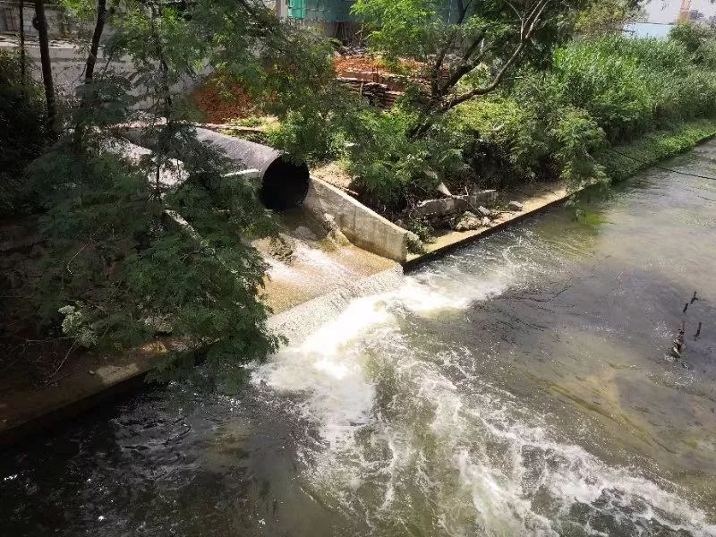 便攜式余氯測定儀，可準確分析水體狀況